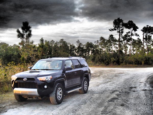 On a forest road in Everglades NP