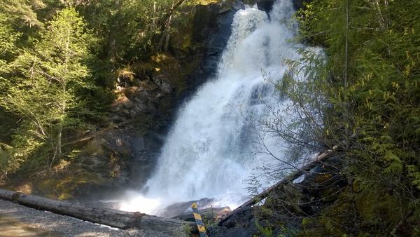 One of the many waterfalls found along the Squamish Service road in search of the Elaho Giant