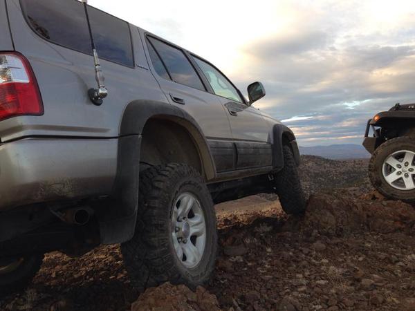 Ophir grade trail. NV
