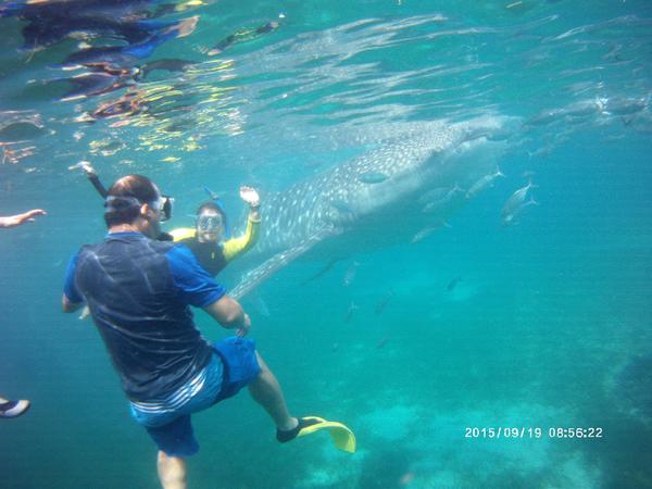 Oslob Philippines