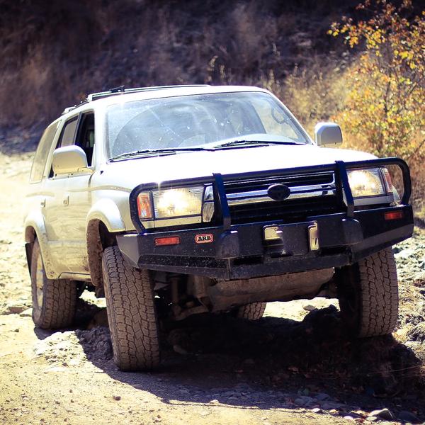 Out exploring