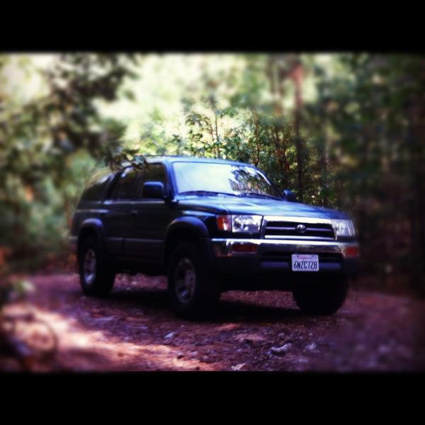 out hunting