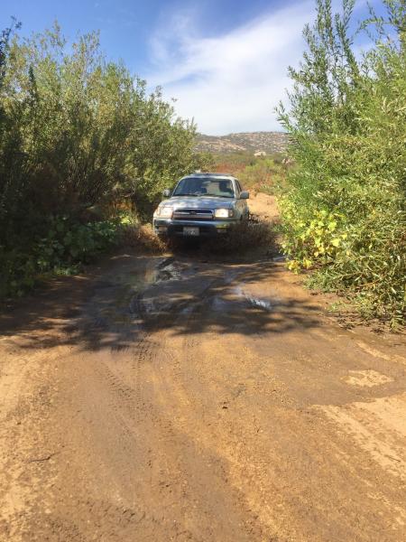 out in Rancho Tecate, Tecate Baja California