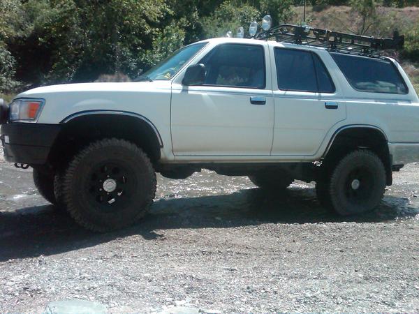Out in San Bernardino Forest
