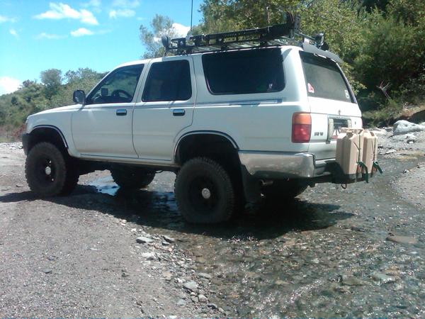 Out in San Bernardino Forest