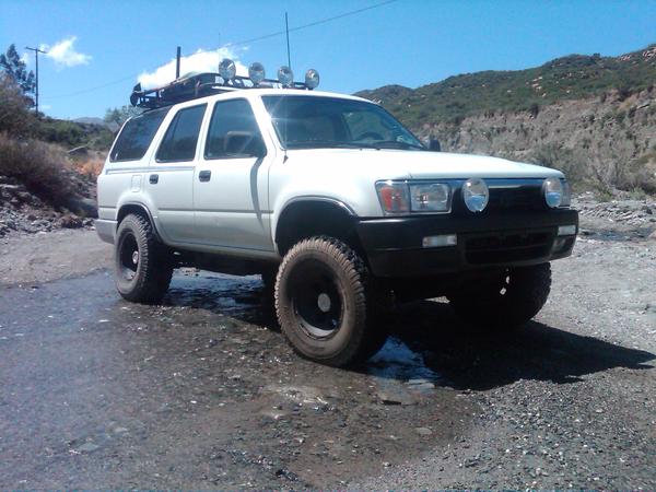 Out in San Bernardino Forest