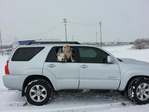Out playing in the snow in Tucson Arizona