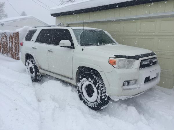 Over 10 inches of snow in Colorado. No problem for the white runner! Enjoyed playing in the powder!