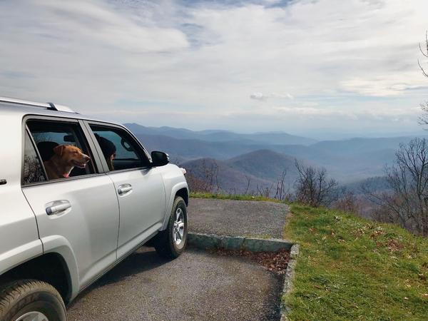 Overlook on the Blue Ridge Parkway, Pisgah NF