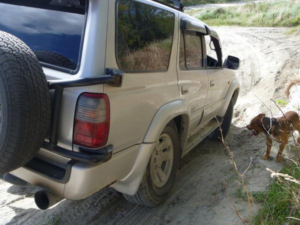 P1000613 (800x600)