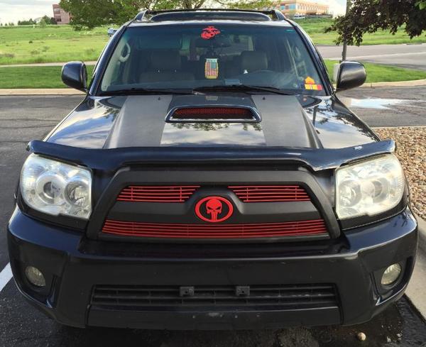 Painted Grille Inserts