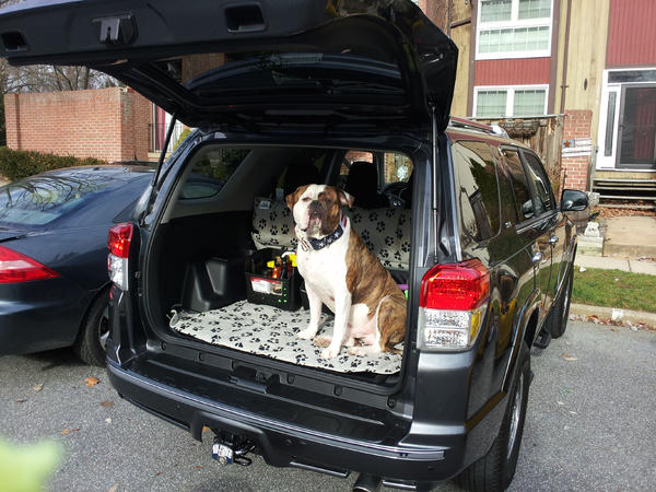 Phantom in the 4Runner