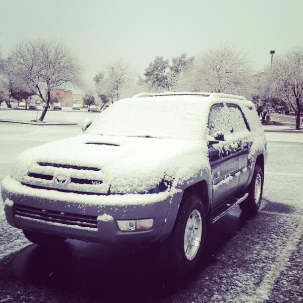 photoshe looks good in the snoe (Feb 2013 Tucson Az)