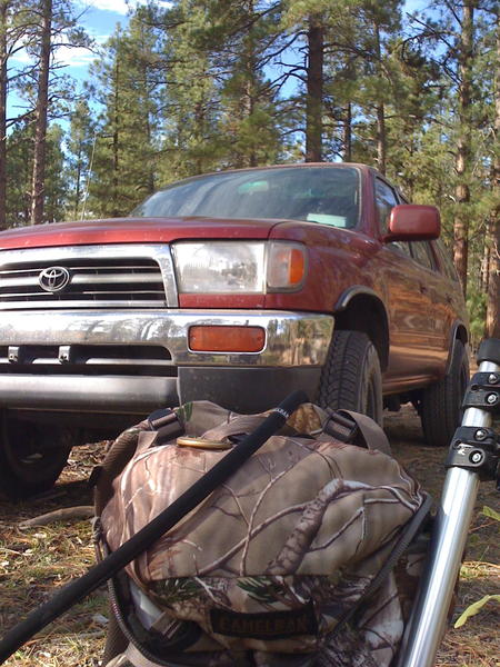 Pic of my third gen, Ruby, while I was out on an Elk hunt.
