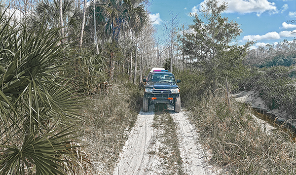 PicayuneStrand_FL_1