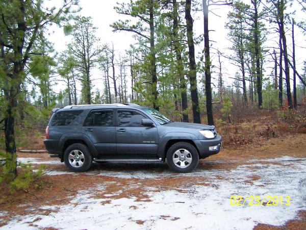 Pine Barrens Feb 2013
