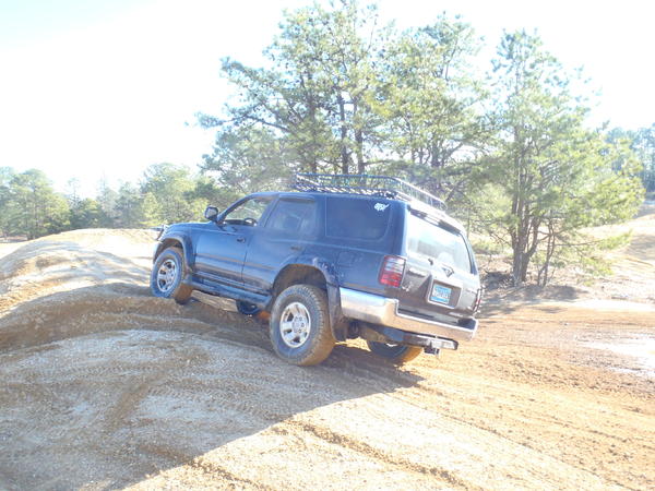 pinebarrens010612 001