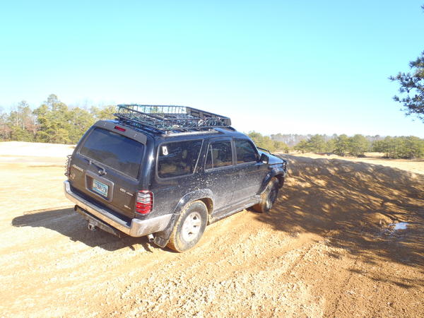 pinebarrens010612 002