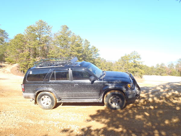 pinebarrens010612 003