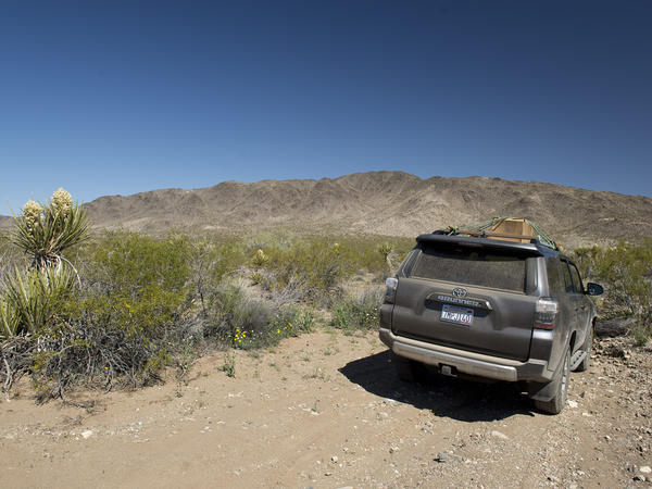 Pinkham Canyon, Joshua Tree National Park