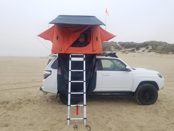 Pismo 2016