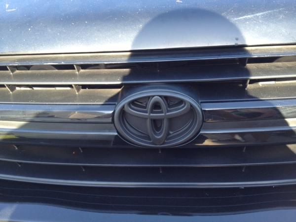 plasti-dipped