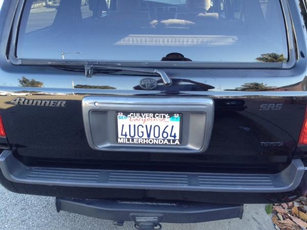 plasti-dipped