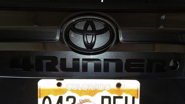 Plasti Dipped