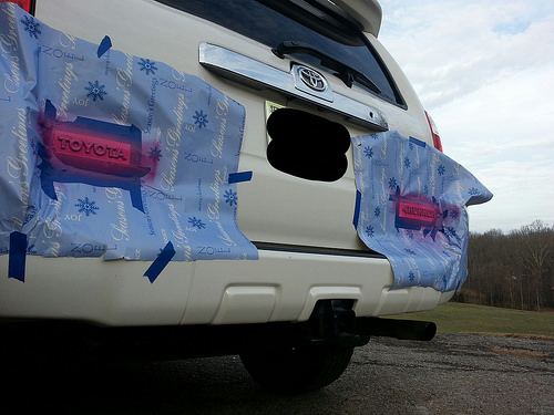 Plastidipping!
