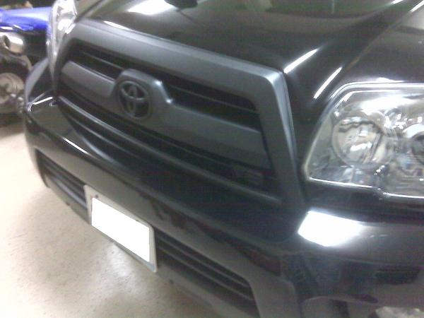 PlatsiDip Grill and lower bumper section.