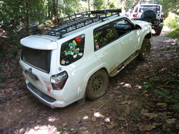 Playing in da woods.