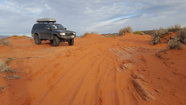 playing in the sand