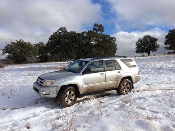 Playing in the snow