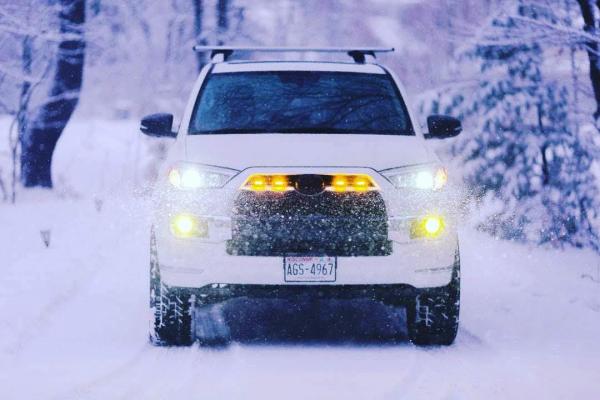 Playing in the snow