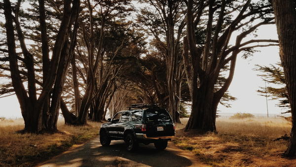 Point Reyes, CA