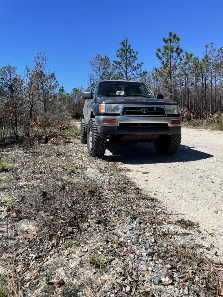 Point Washington State Forest, Walton County, Florida