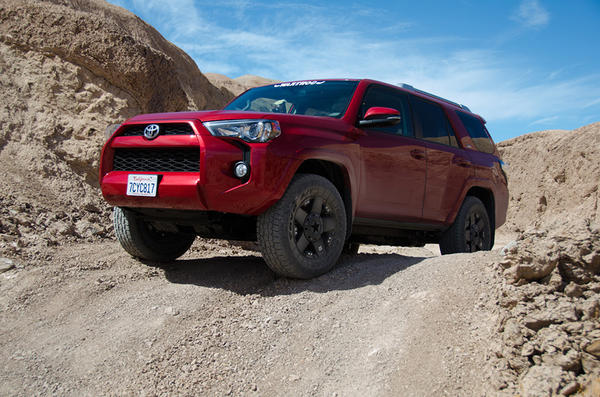 Popping up over a hill on the Basin Wash trail.