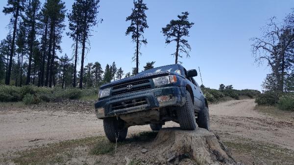 Poser flex.