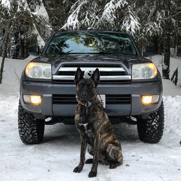 Posing at a trailhead