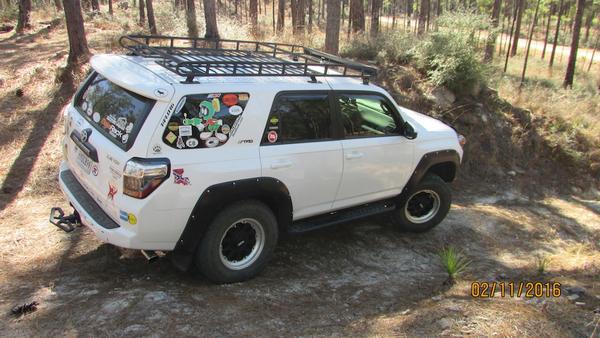 Posing in Kisatchie