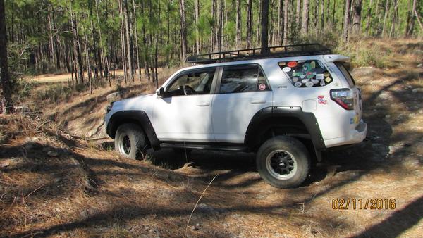 Posing in Kisatchie
