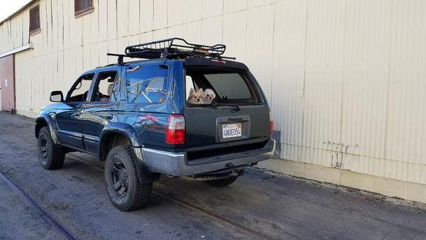 Pups in the back (always)