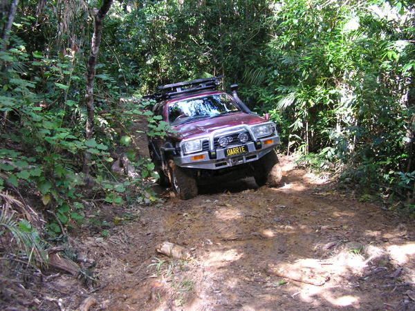 Rainforest Trail