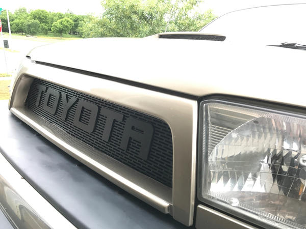 Raptor Grill and Hood 3