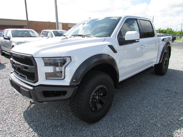 raptor