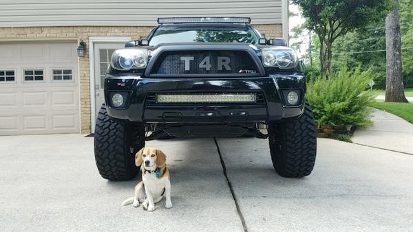 Rare picture of a 4runner and a Bentley