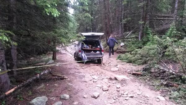 Ratchet straps around 2 trees since I was on a downhill.