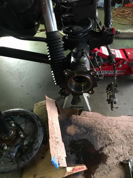 Rear Axel Seals