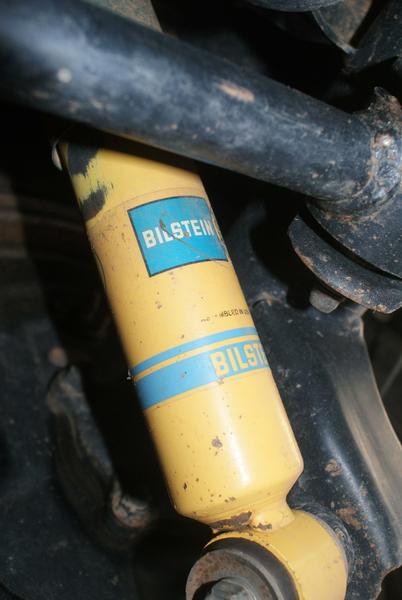 rear bilsteins