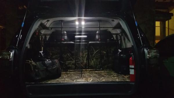 Rear CanvasBack Covers and New Interior LEDs